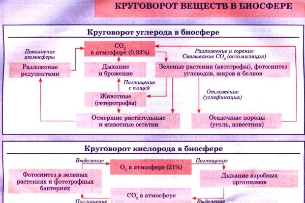 Гидра и кракен