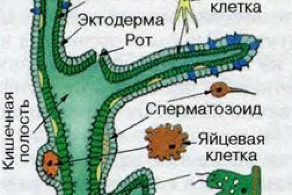 Зеркала сайта кракен tor