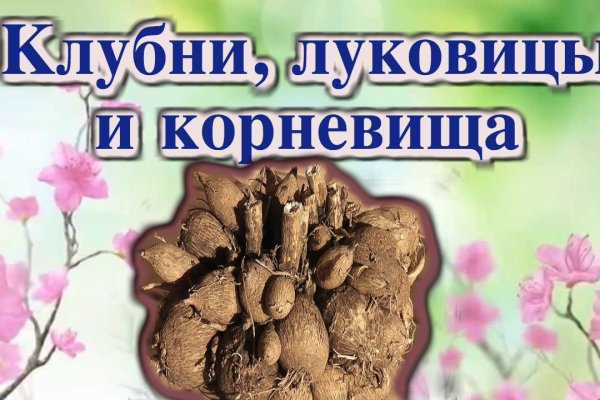 Кракен с айфона