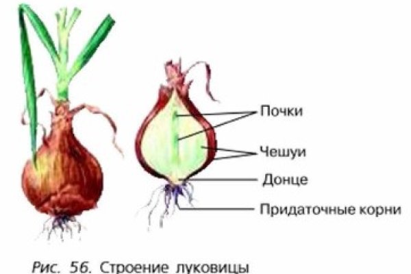 Ссылка на кракен официальный сайт